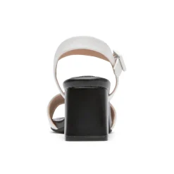 Saltos><noscript><img width=